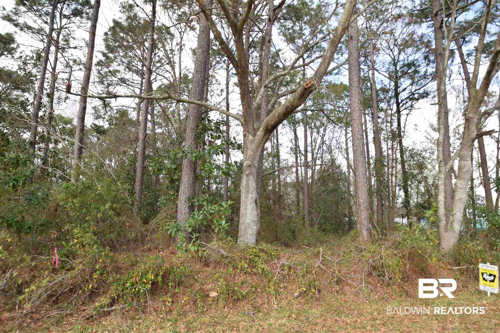 0 Old Foley Road Elberta, AL 36530 - Photo 3 of 4