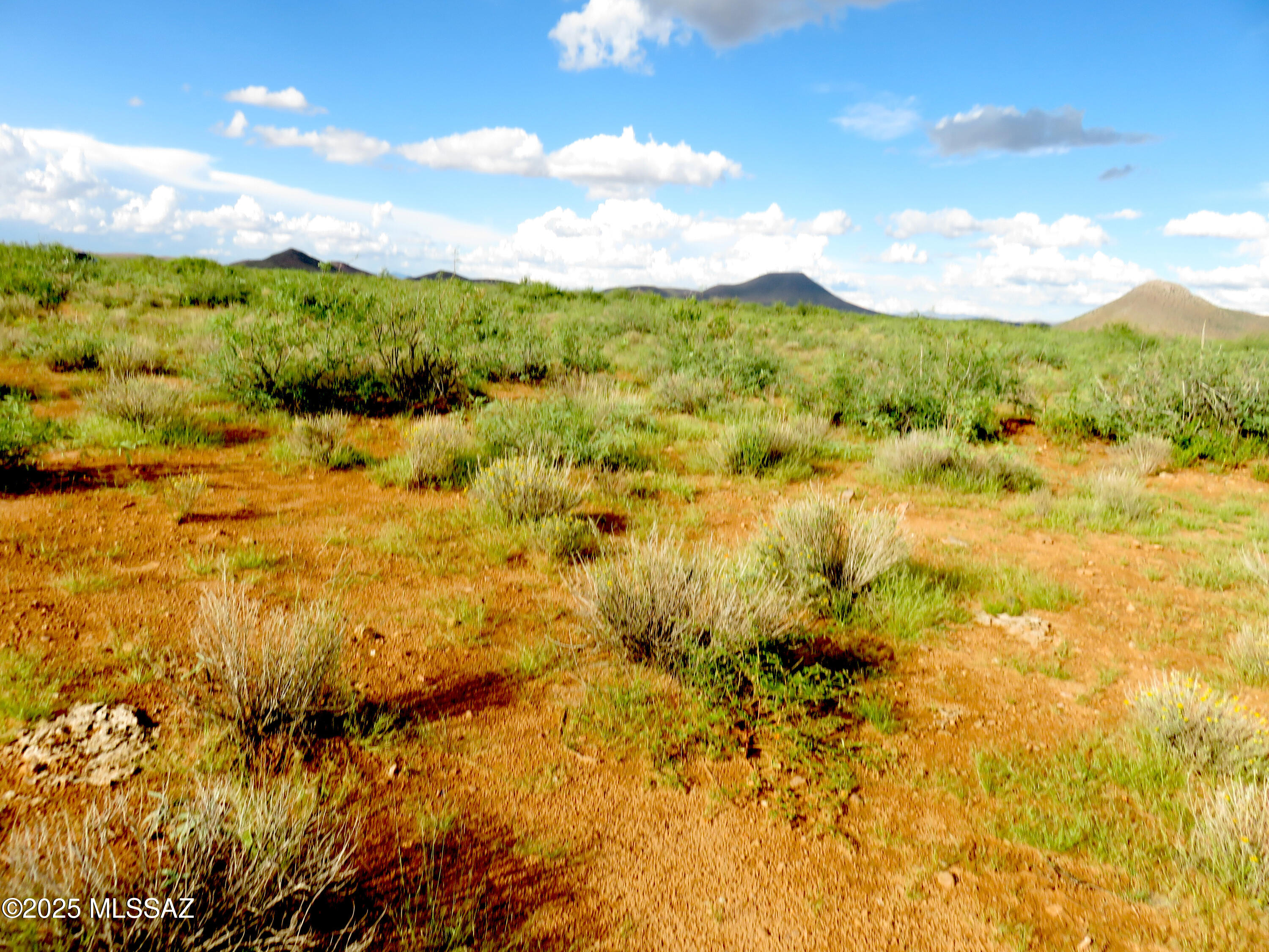 Tbd West Austin Henely Road, Unit 9 Elfrida, AZ 85610 - Photo 7 of 14