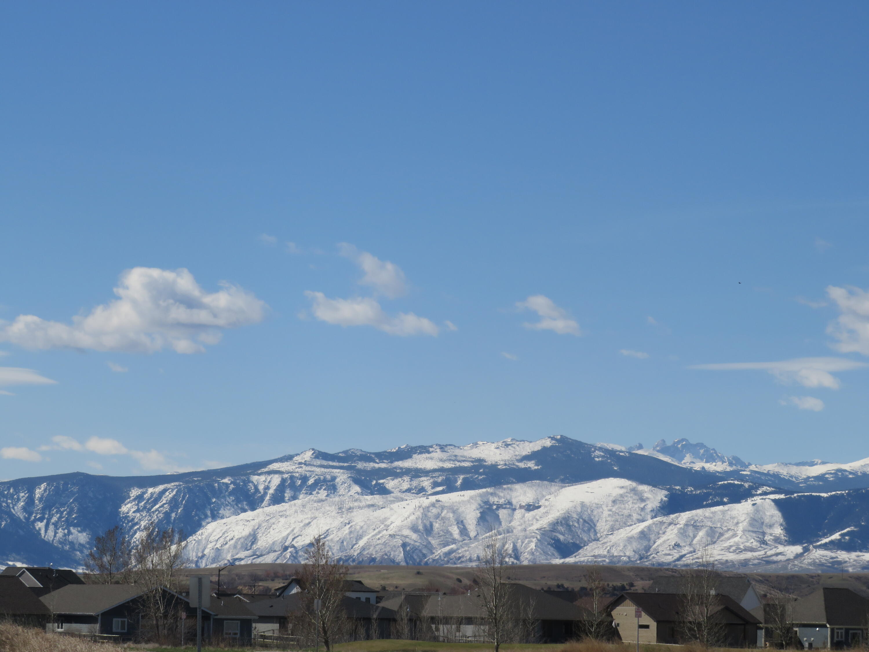 1770 PHEASANT DRAW RD  