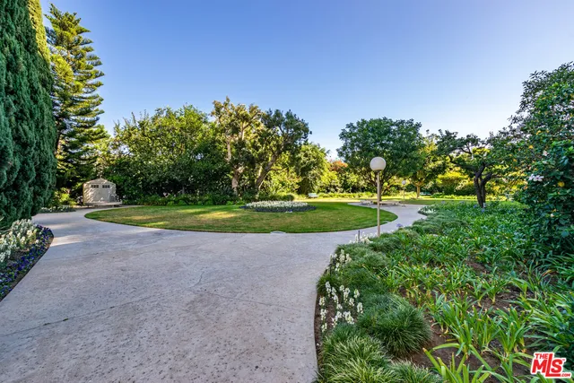 a view of a street with a tree