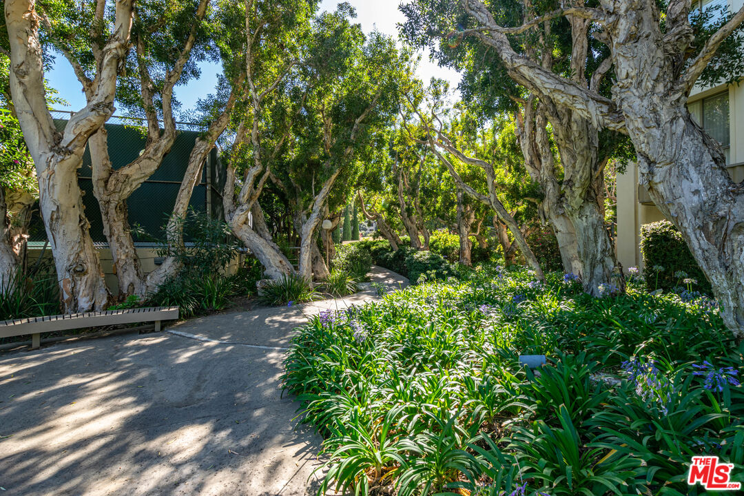 2160 Century Park East, Unit 1607 Los Angeles, CA 90067 - Photo 32 of 38 a view of a street with a tree