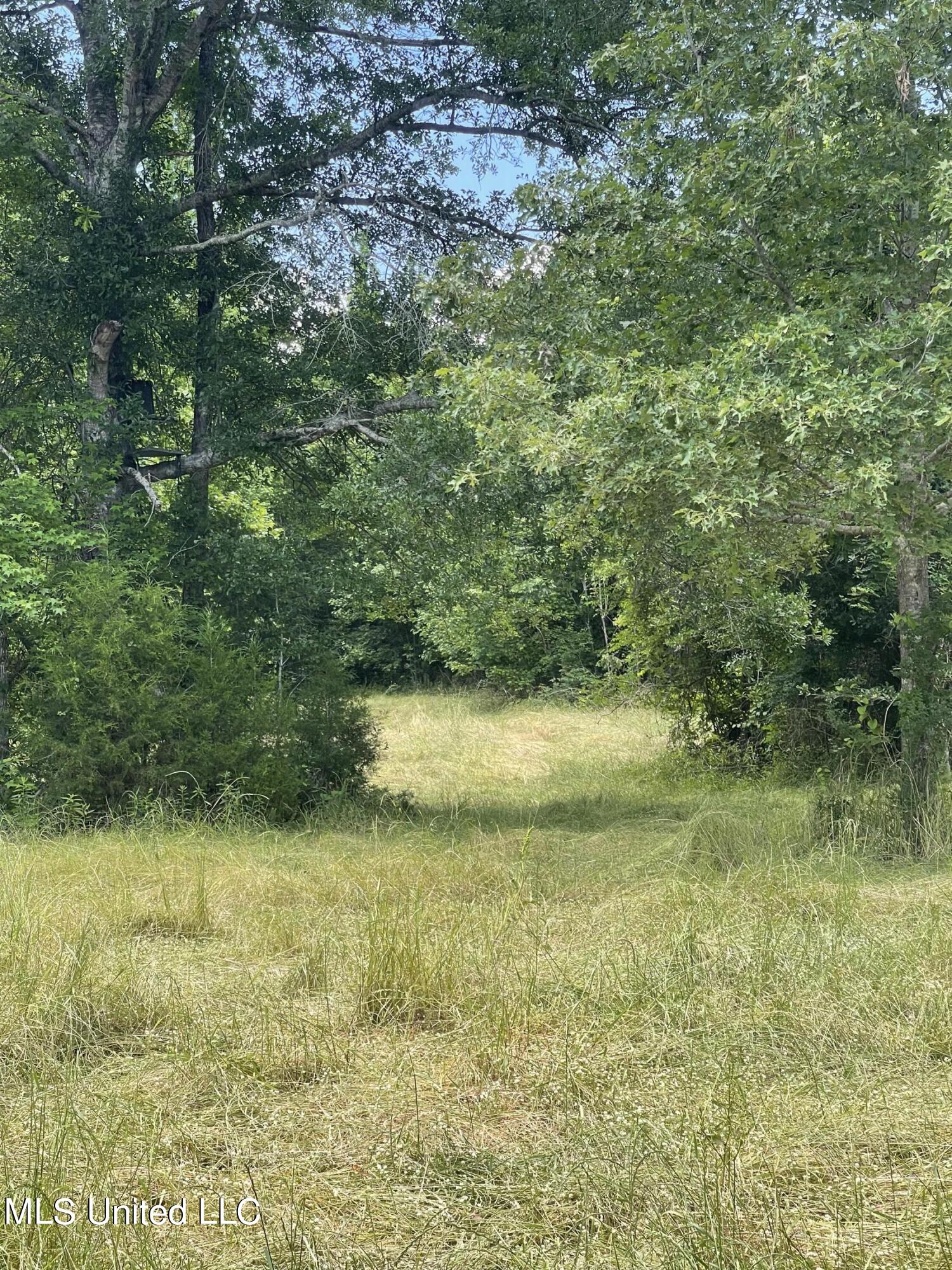 1070 International Road Hermanville, MS 39086 - Photo 8 of 26 Photo May 18 2024, 2 50 37 PM