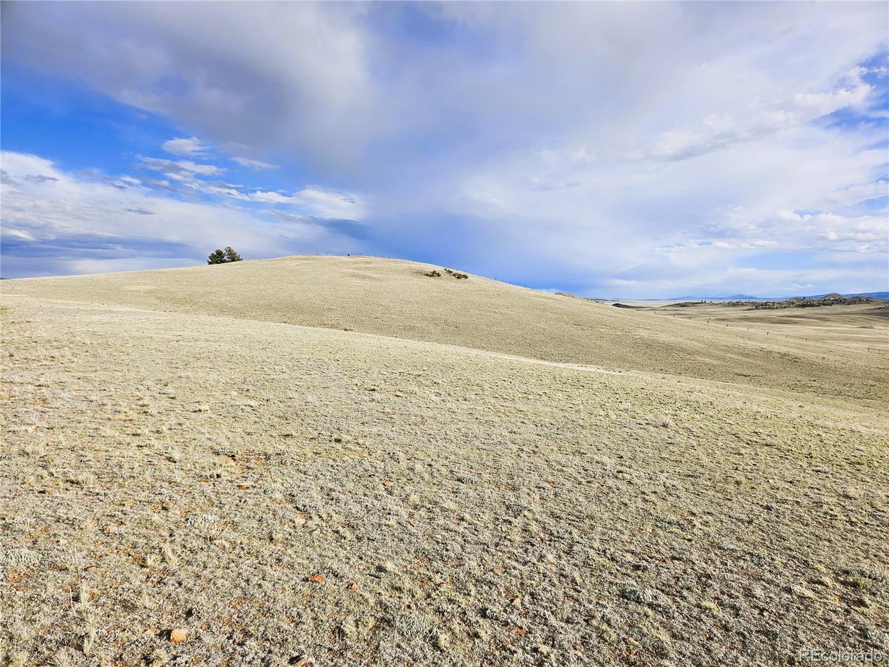 24139 Antero Road Hartsel, CO 80449 - Photo 6 of 35