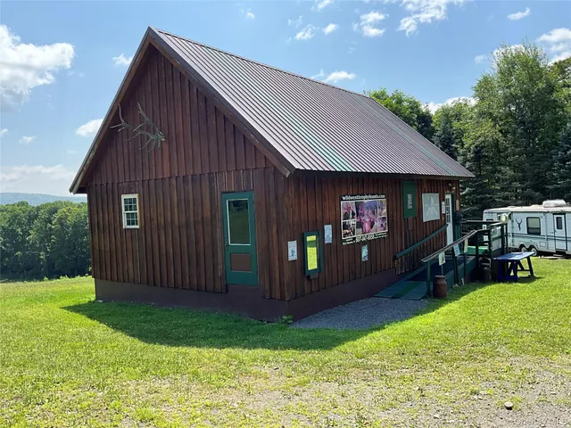 a backyard of a house with yard and trampoline