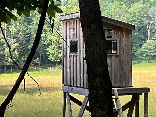 a view of a garden from a lake