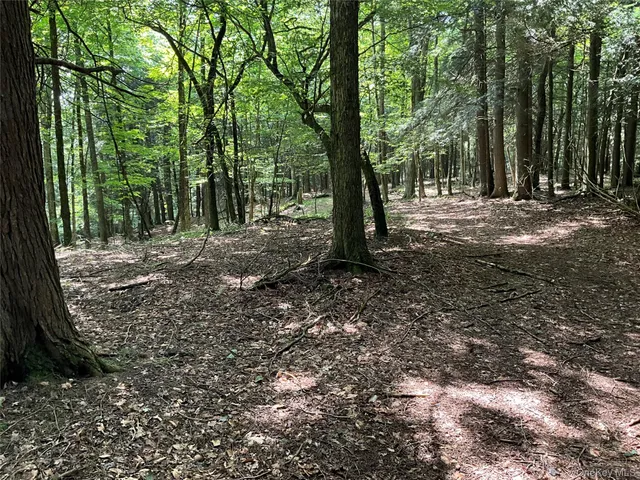 a view of outdoor space with trees