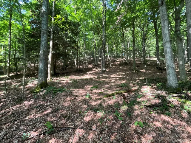 a view of an outdoor space and a yard