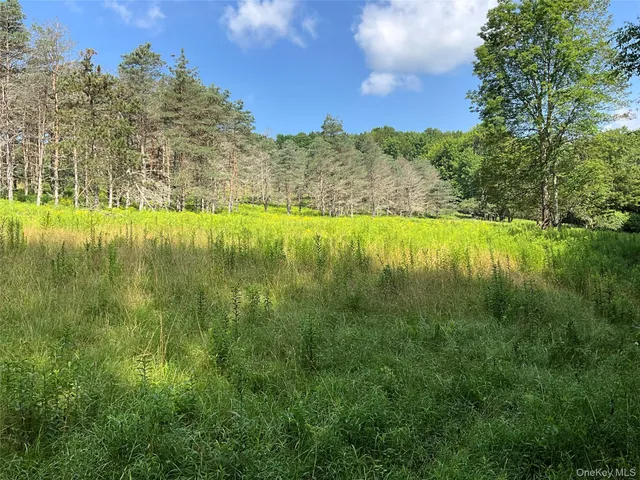 a view of an outdoor space with a lake view