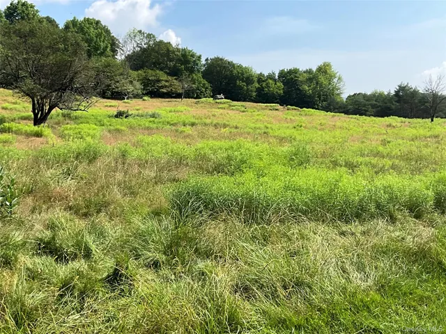 a view of a houses with an outdoor space