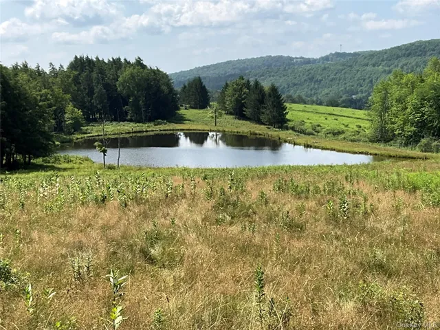 a view of a lake with a yard