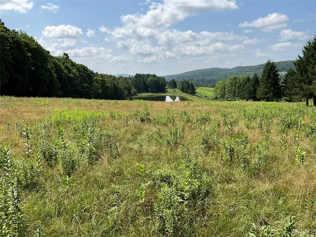 a view of a green field with wooden fence