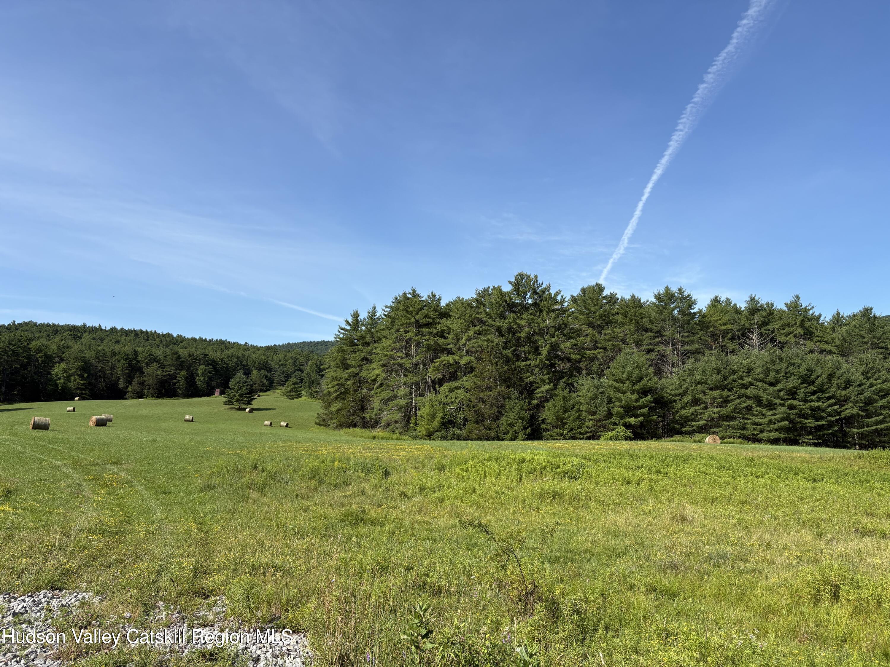 379 Stryker Road Gilboa, NY 12076 - Photo 21 of 22 IMG_0596