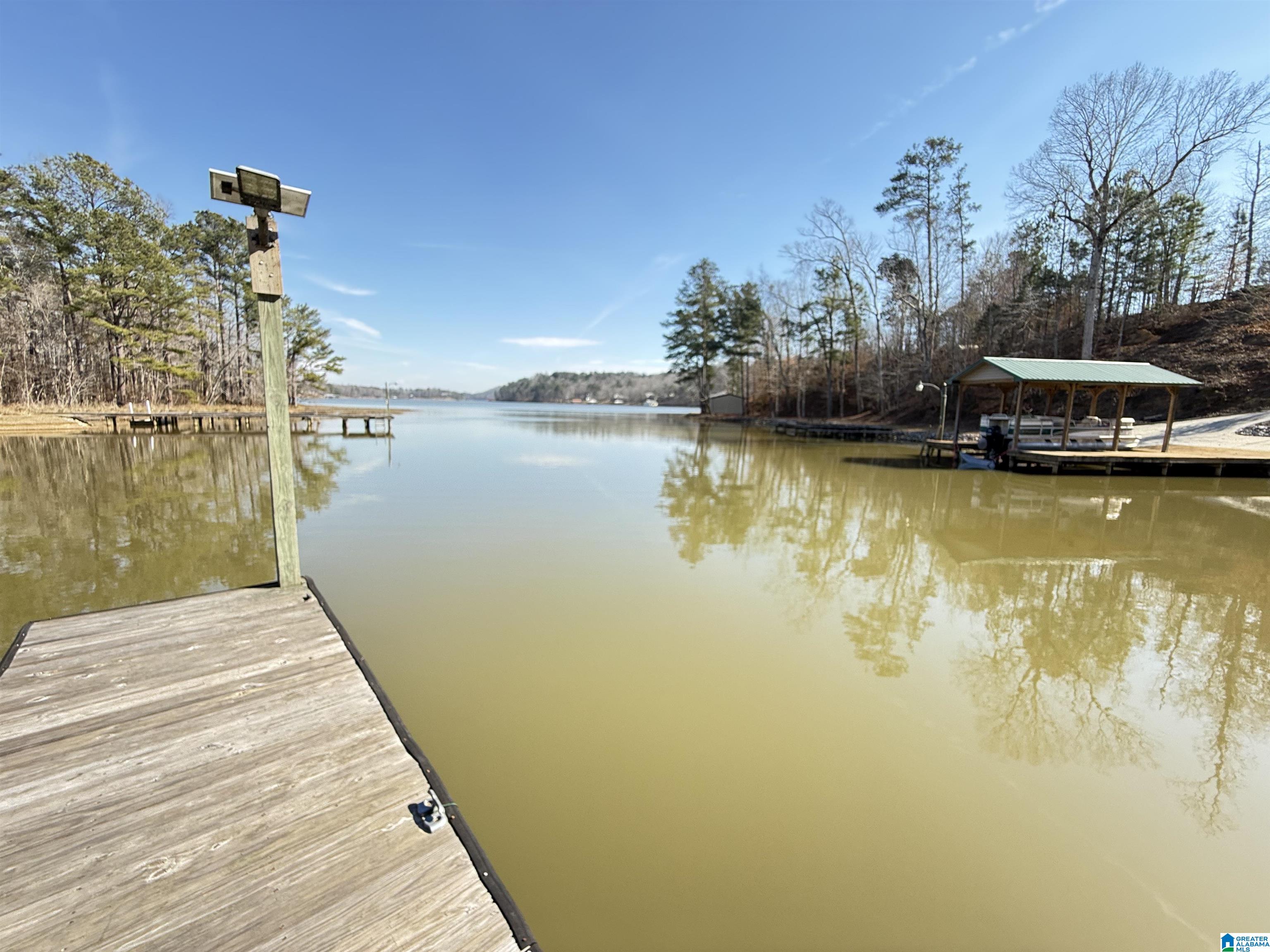 41 Reed Road Ashville, AL 35953 - Photo 1 of 58