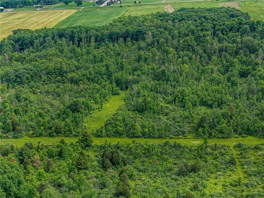 2868 Townsend Road Dix, NY 14891 - Photo 9 of 10