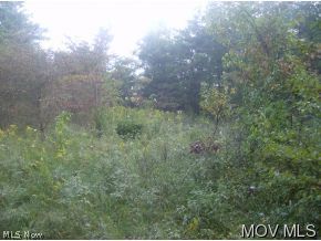 Lot 3 Pryor Glass Road New Matamoras, OH 45767 - Photo 4 of 5 Gallery Image 4