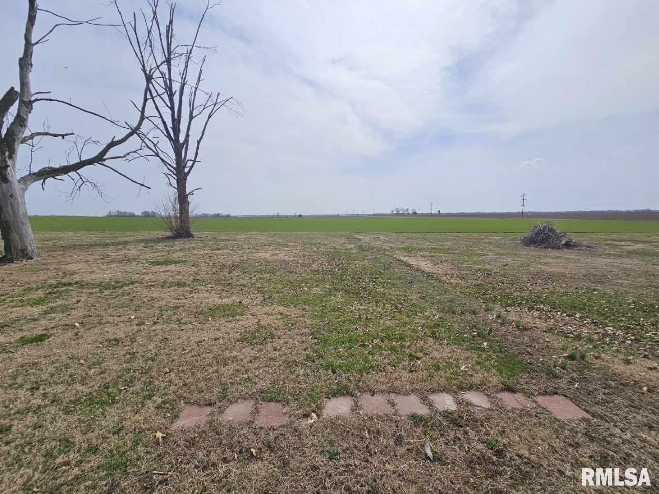 1382 Stacey Road Richview, IL 62877 - Photo 12 of 31