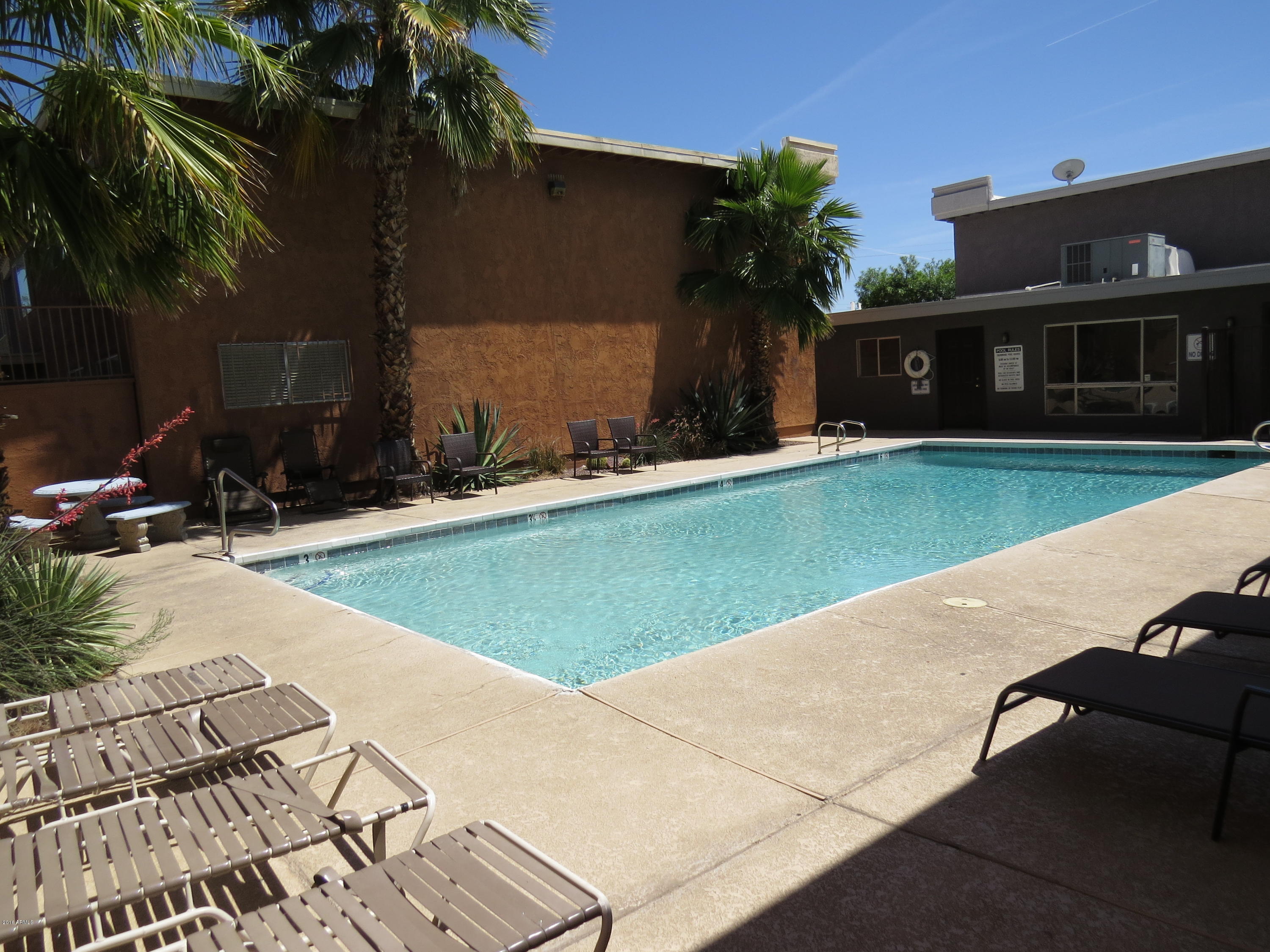 424 West Brown Road, Unit 231 Mesa, AZ 85201 - Photo 8 of 8 IMG_1208