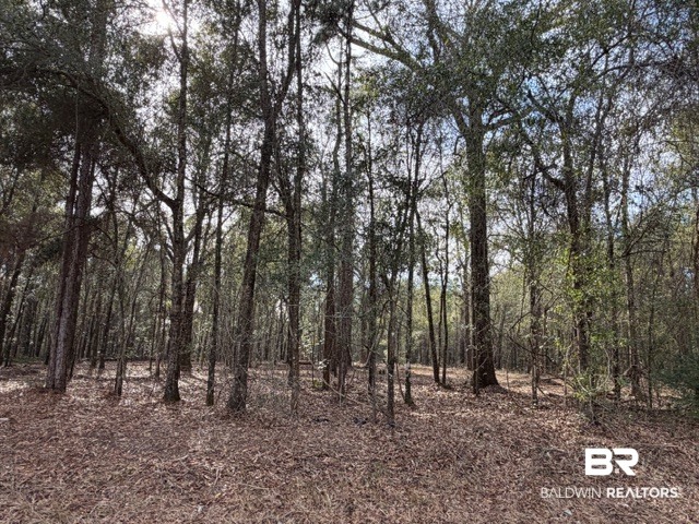 0 Danner Road East Wilmer, AL 36587 - Photo 32 of 34 Gallery Image 32