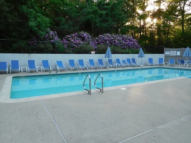 a view of backyard with outdoor kitchen and green space