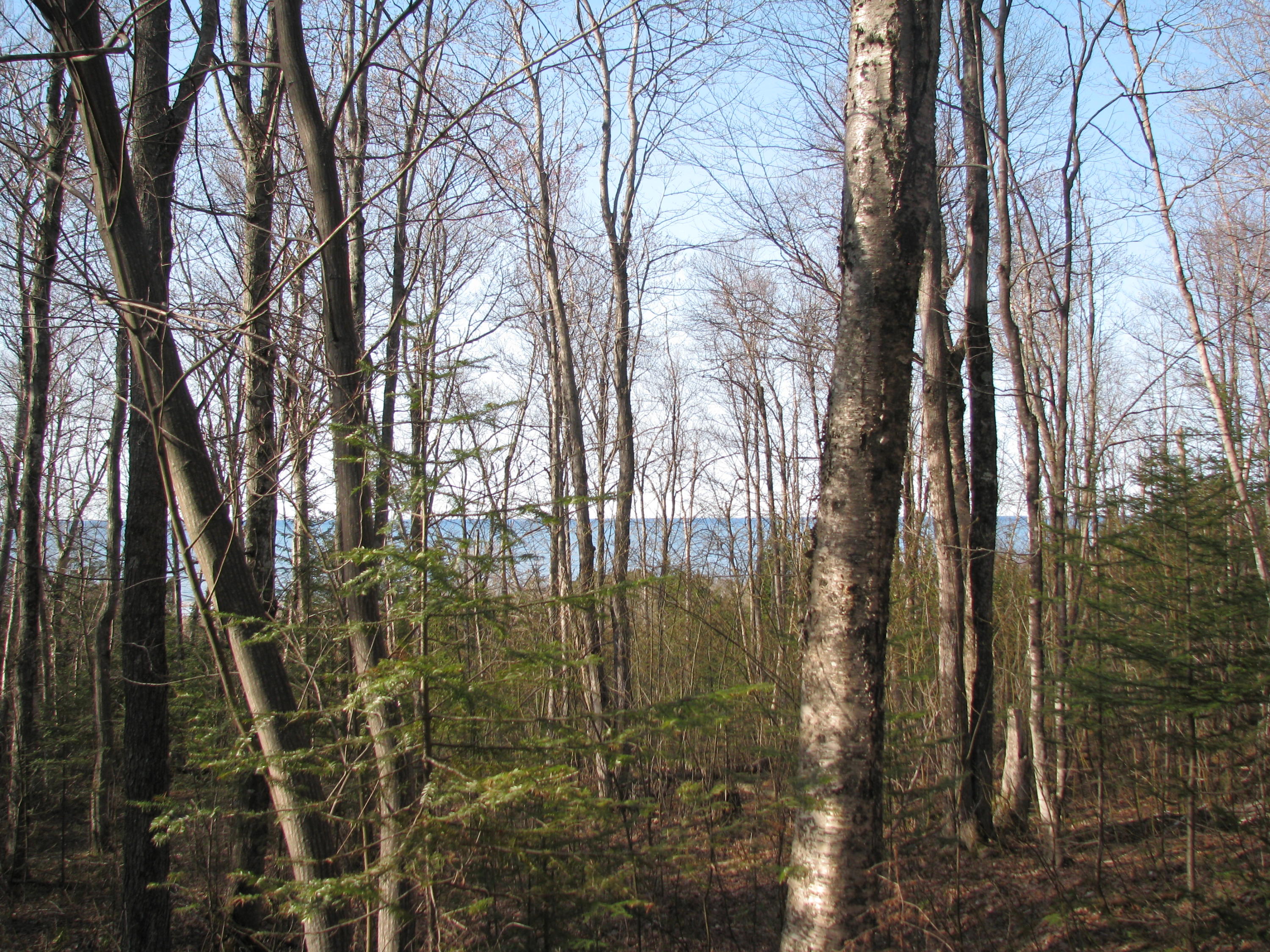 Tbd County Rd H-58 Grand Marais, MI 49839 - Photo 9 of 10 Gallery Image 9