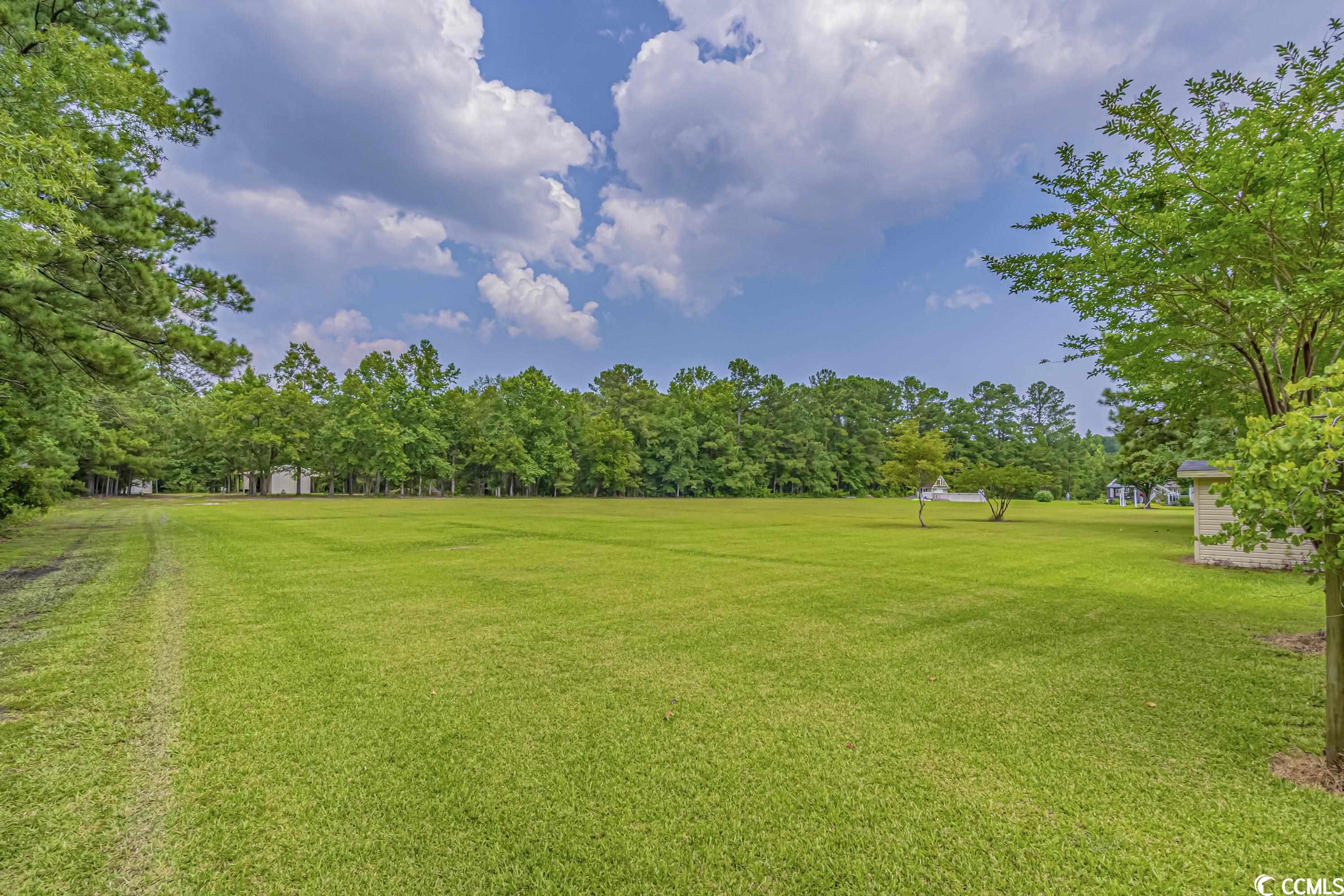 1081 Sarvis Farm Road Longs, SC 29568 - Photo 34 of 40 Gallery Image 34