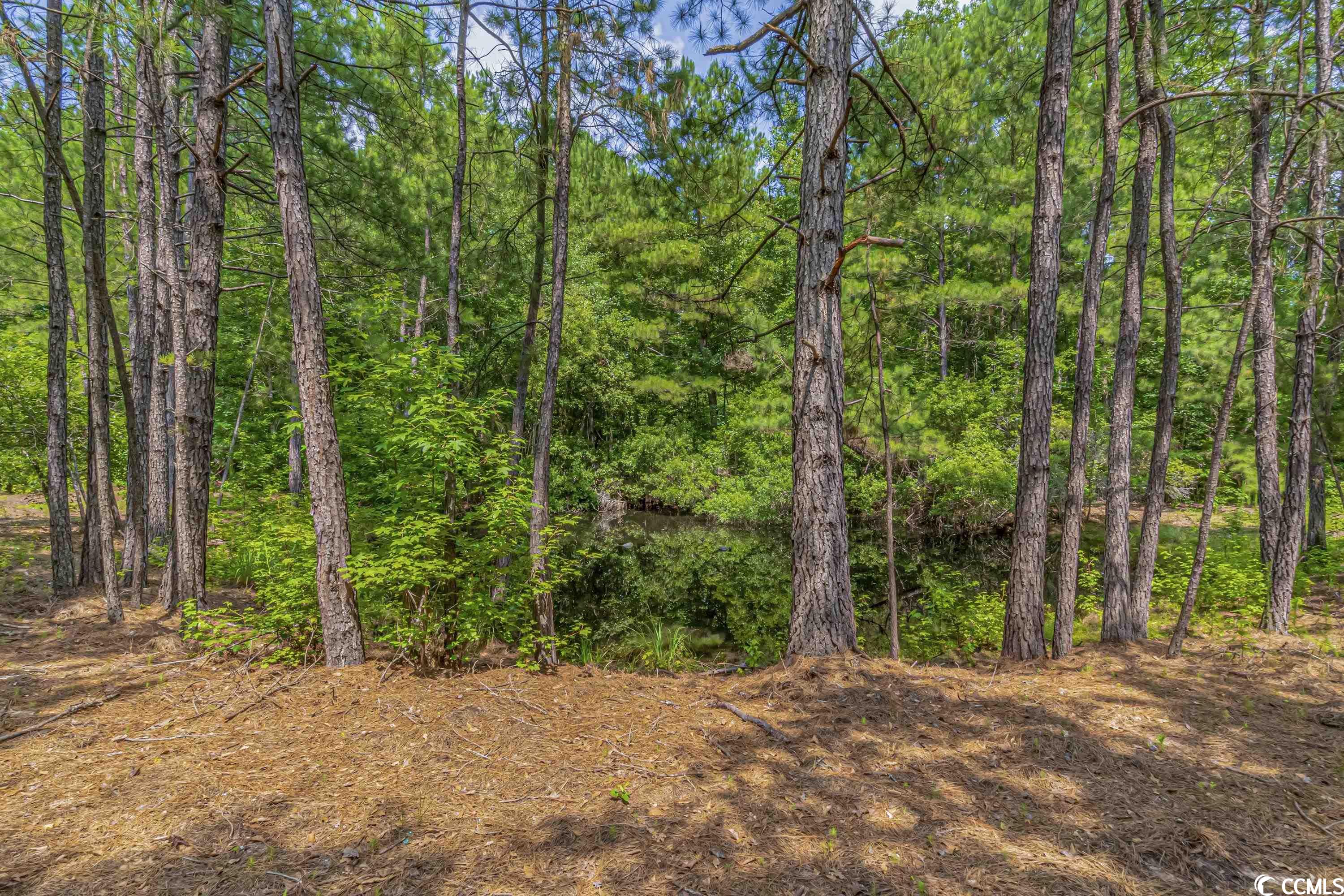 1081 Sarvis Farm Road Longs, SC 29568 - Photo 37 of 40 Gallery Image 37