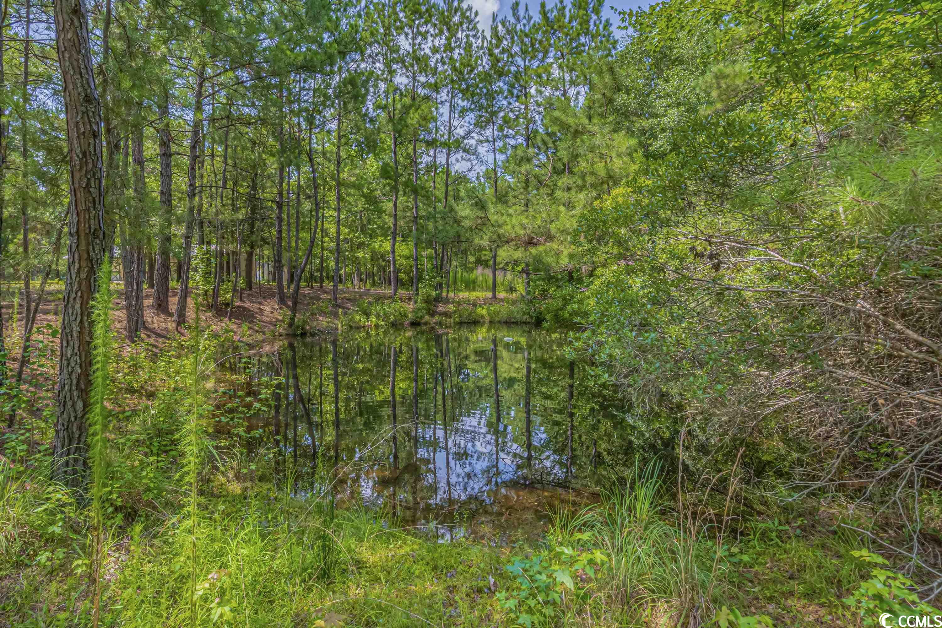 1081 Sarvis Farm Road Longs, SC 29568 - Photo 5 of 40 Gallery Image 5