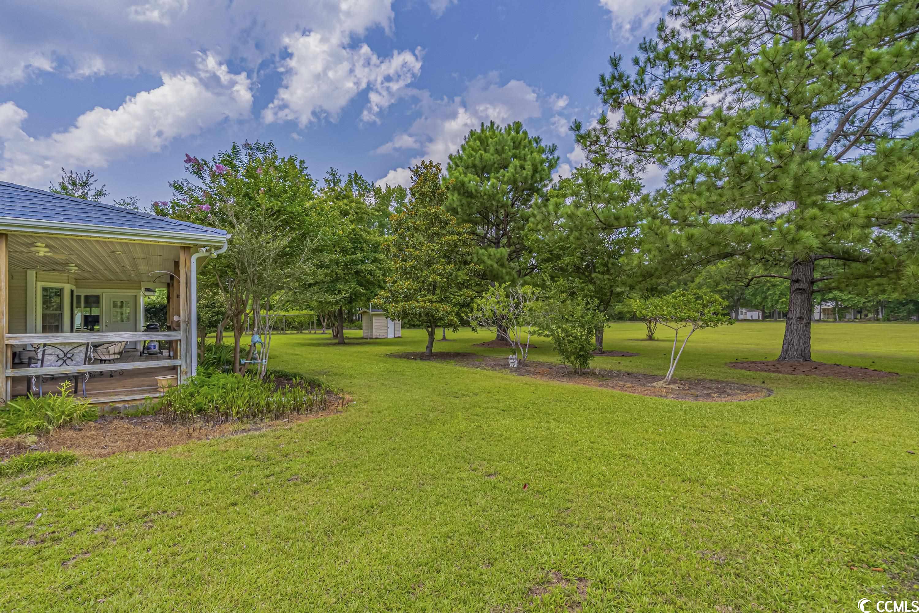 1081 Sarvis Farm Road Longs, SC 29568 - Photo 7 of 40 Gallery Image 7