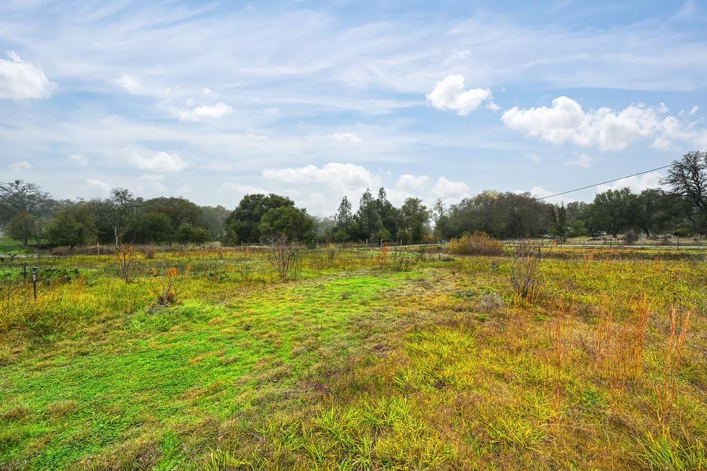 12156 Scott Grant Road Marysville, CA 95901 - Photo 59 of 77