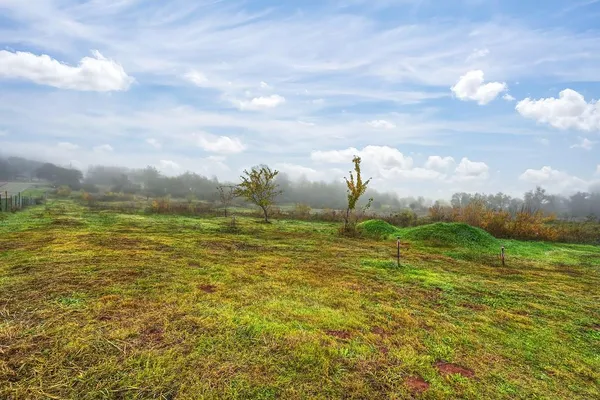$725,000 | 12156 Scott Grant Road, Marysville, CA 95901
