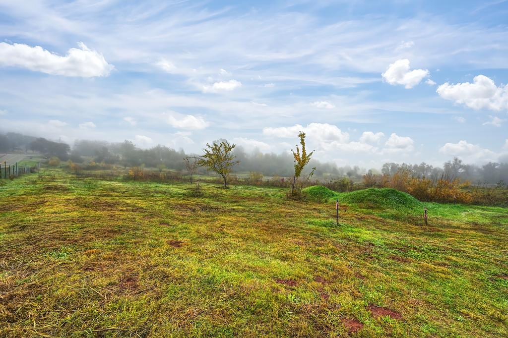 12156 Scott Grant Road Marysville, CA 95901 - Photo 68 of 77