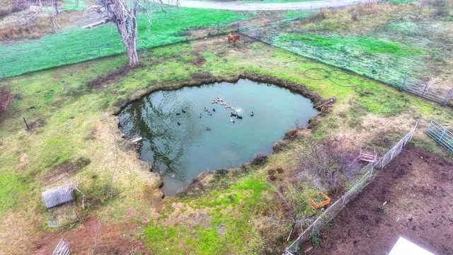 $775,000 | 12156 Scott Grant Road, Marysville, CA 95901