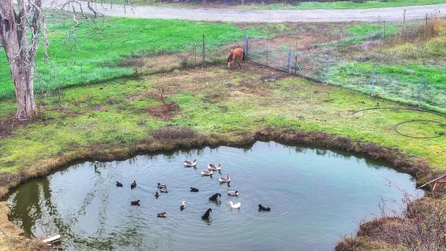 $775,000 | 12156 Scott Grant Road, Marysville, CA 95901