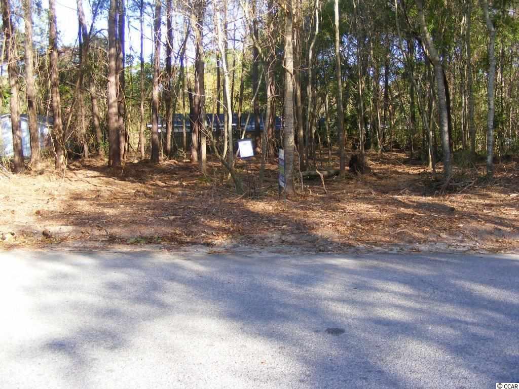 Lot 4 South 1st Street Murrells Inlet, SC 29576 - Photo 2 of 11 Gallery Image 2