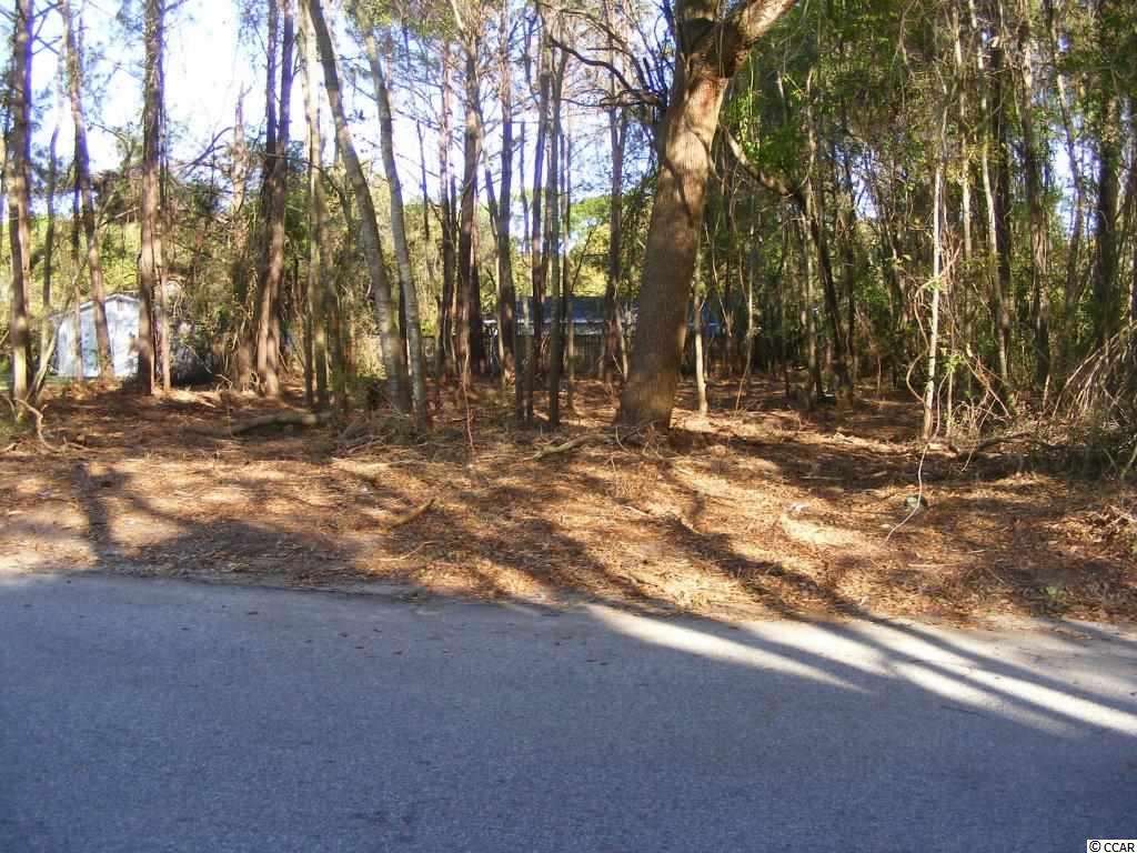 Lot 4 South 1st Street Murrells Inlet, SC 29576 - Photo 3 of 11 Gallery Image 3