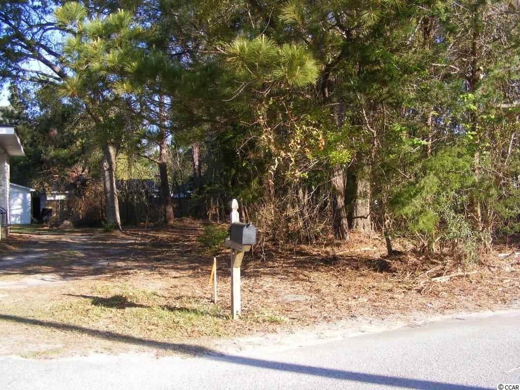 Lot 4 South 1st Street Murrells Inlet, SC 29576 - Photo 4 of 11 Gallery Image 4