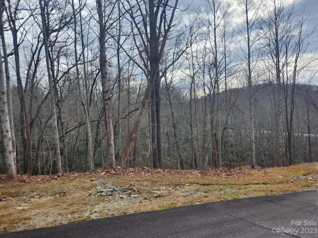 a view of a backyard of the house