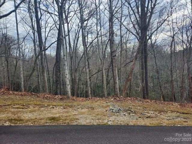 a house with trees in the background