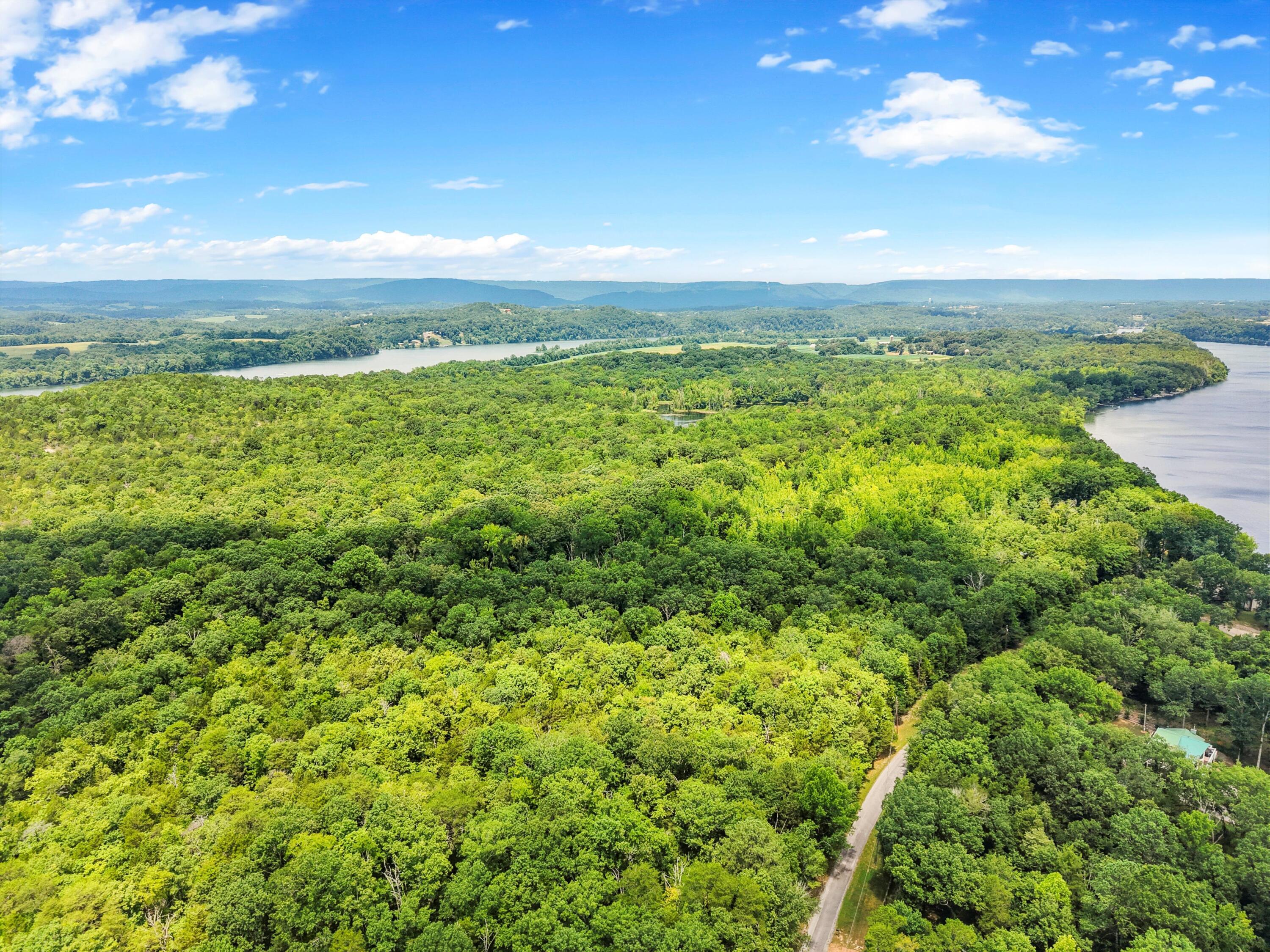 Lot 29 Armstrong Ferry Road Decatur, TN 37322 - Photo 12 of 12 14-DJI_20250723130738_0313_D
