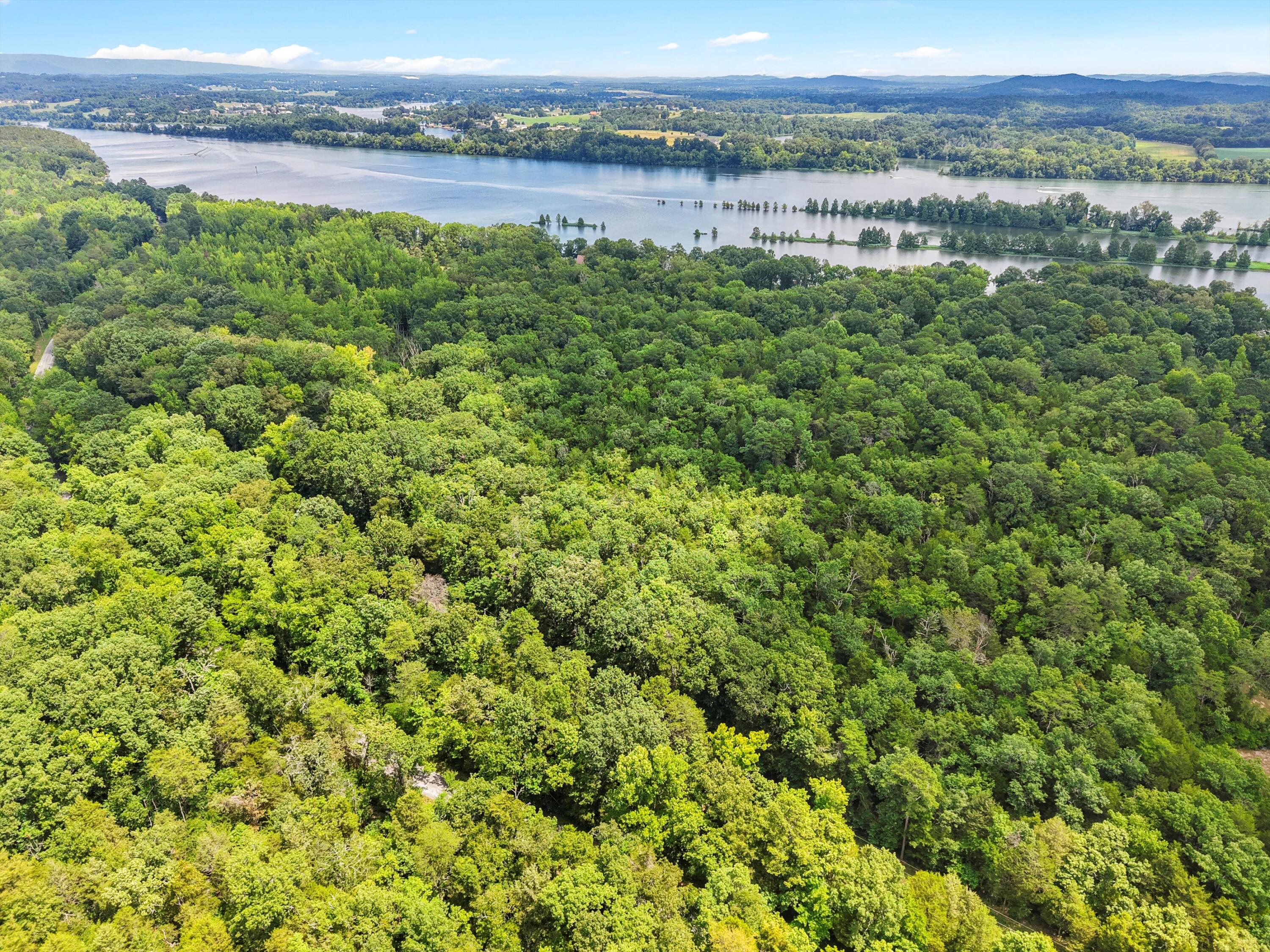 Lot 29 Armstrong Ferry Road Decatur, TN 37322 - Photo 5 of 12 07-DJI_20250723125537_0278_D