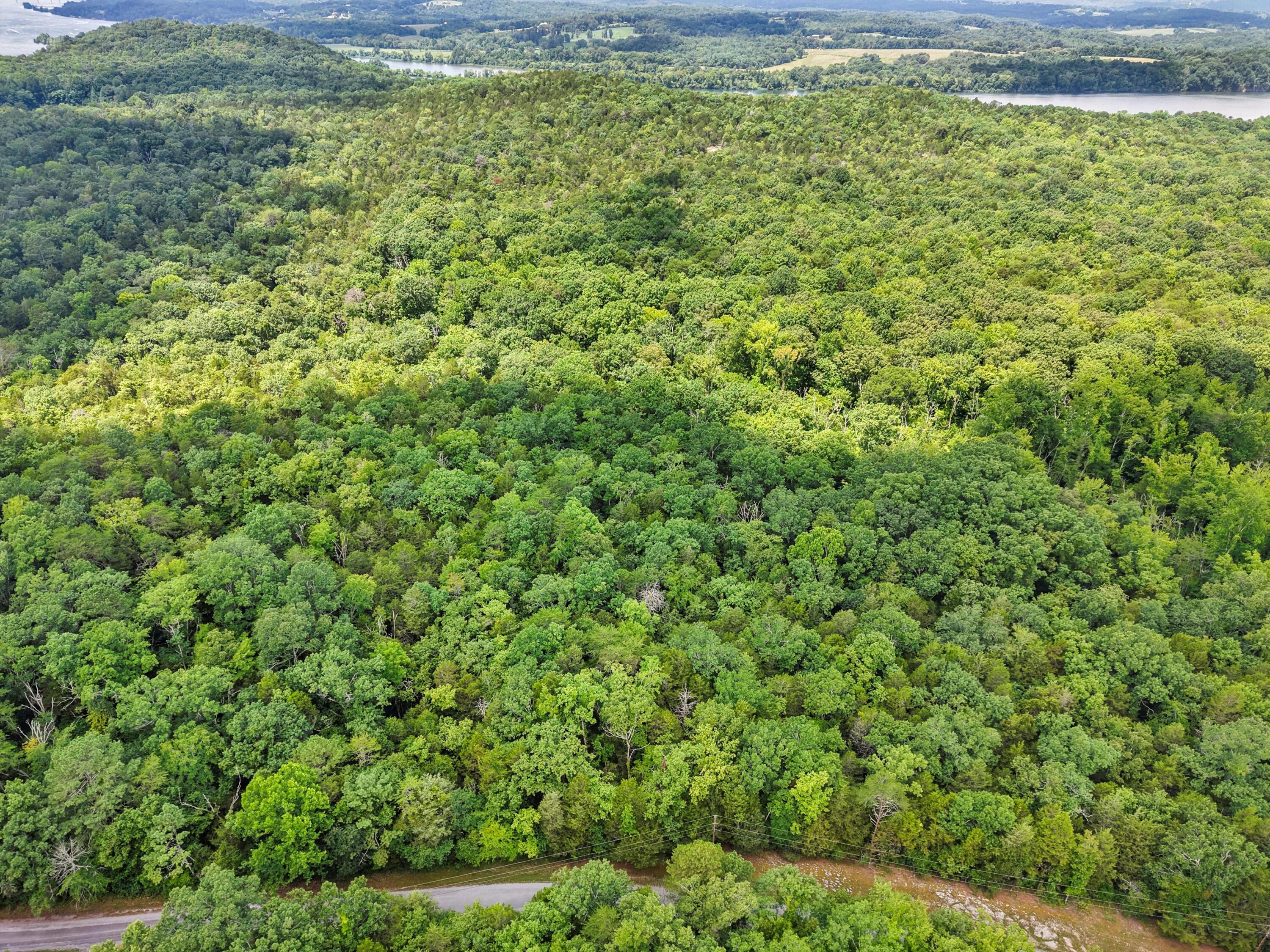 Lot 29 Armstrong Ferry Road Decatur, TN 37322 - Photo 8 of 12 10-DJI_20250723125704_0293_D