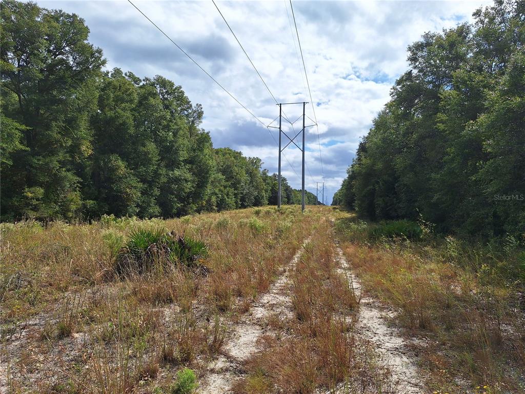 0 Southwest County Road 138 Fort White, FL 32038 - Photo 14 of 28 a view of a yard