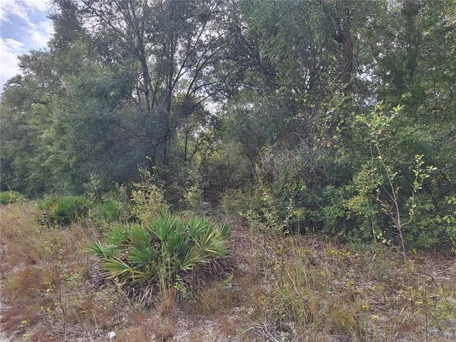 a big yard with lots of green space and deers