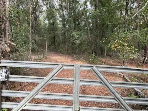 a view of backyard with green space