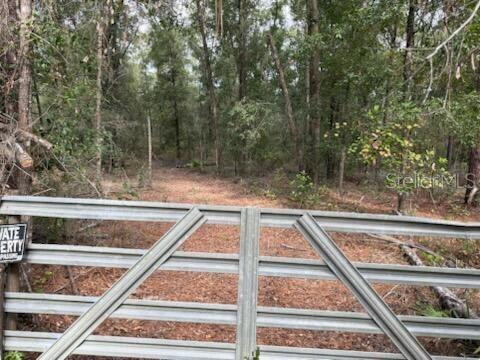 0 Southwest County Road 138 Fort White, FL 32038 - Photo 2 of 28 a view of backyard with green space