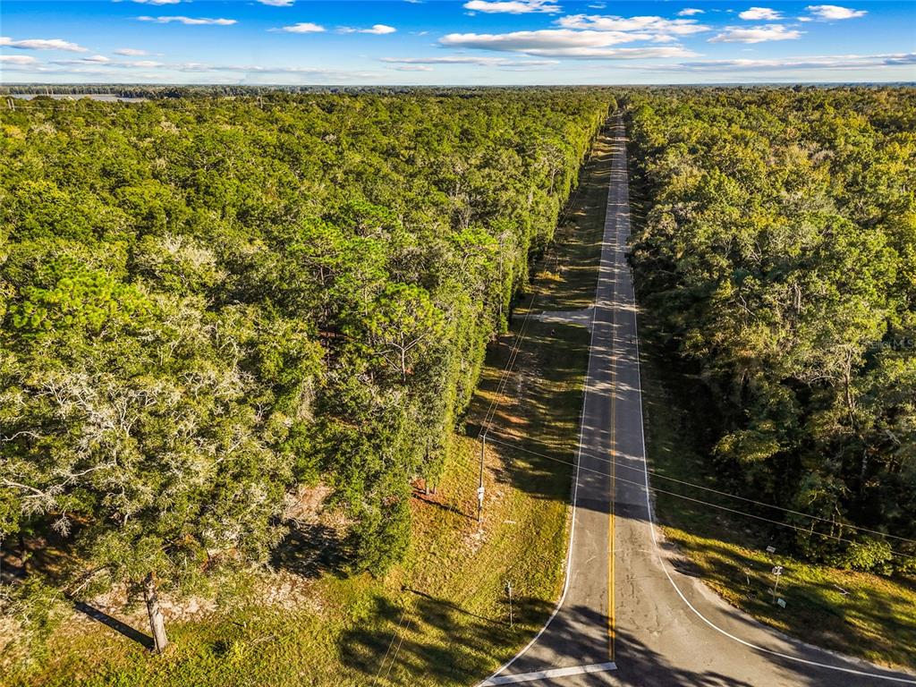 0 Southwest County Road 138 Fort White, FL 32038 - Photo 22 of 28 a view of a yard