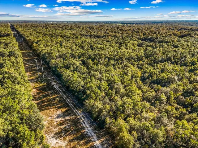 a view of outdoor space and garden
