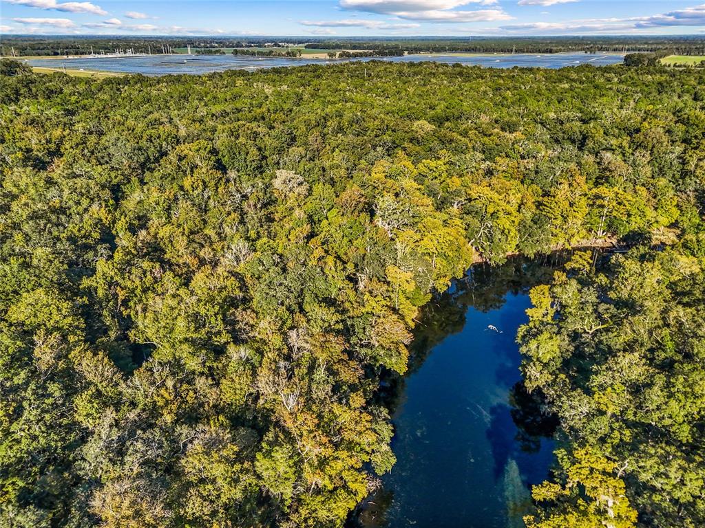 0 Southwest County Road 138 Fort White, FL 32038 - Photo 25 of 28 a view of a room with wooden floor