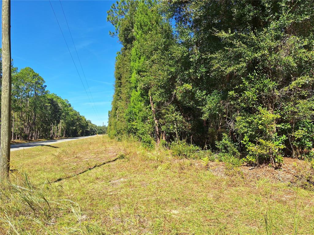 0 Southwest County Road 138 Fort White, FL 32038 - Photo 4 of 28 a view of a yard with plants