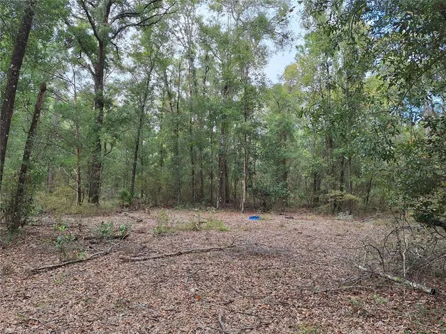 a view of outdoor space with trees